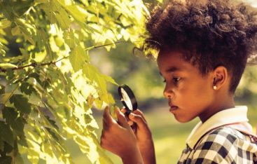 A young girl inspects a tree with a magnifying glass.