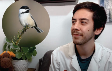 An educator looks at an image of a Black-capped Chickadee.