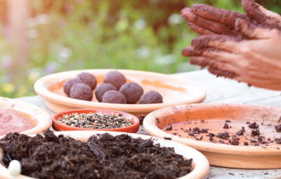 Five trays on a table outdoors contain different organic materials for making seed balls. A pair of hands rolls a seed ball above the trays.