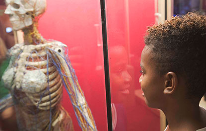 A child learns about human biology in the AstraZeneca Human Edge.