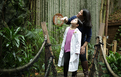 A child and adult enjoy the rainforest in the Living Earth.