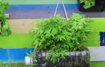 A planter made out of a plastic bottle with a plant growing in it.