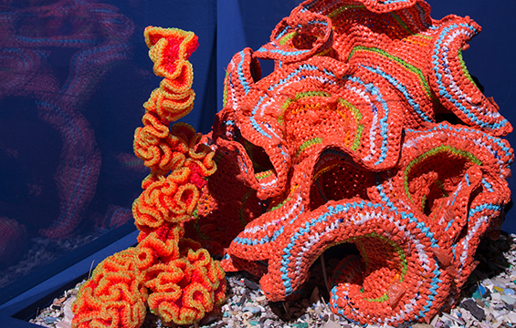 Crochet Coral Reef Ontario Science Centre