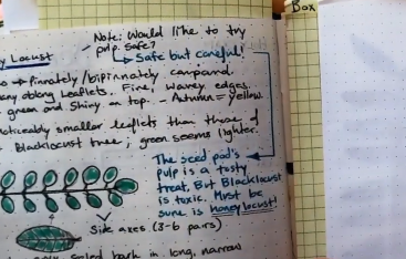 A page from a scientist's notebook.