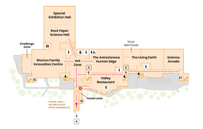 A map of Level 6.