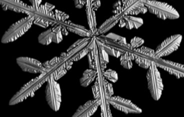 A close up of a snowflake.