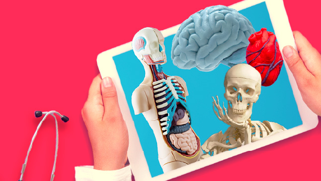 A person holds a tablet displaying various human biology images.