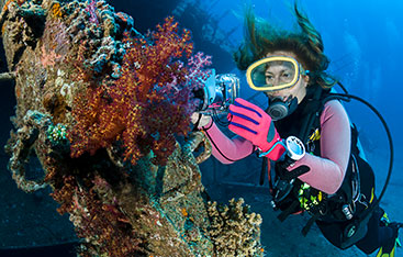 A diver taking photographs of coral.