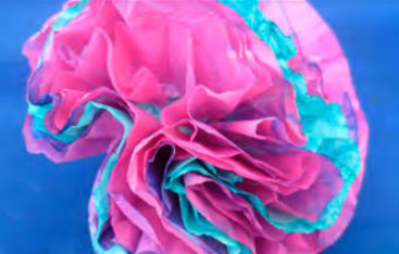 Coral made out of dyed coffee filters.