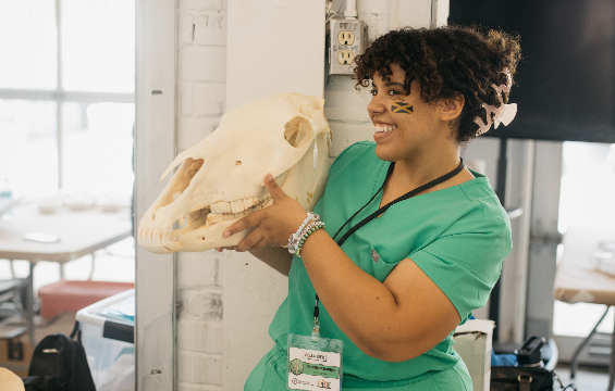 A woman holding a skeleton of dinosaur.