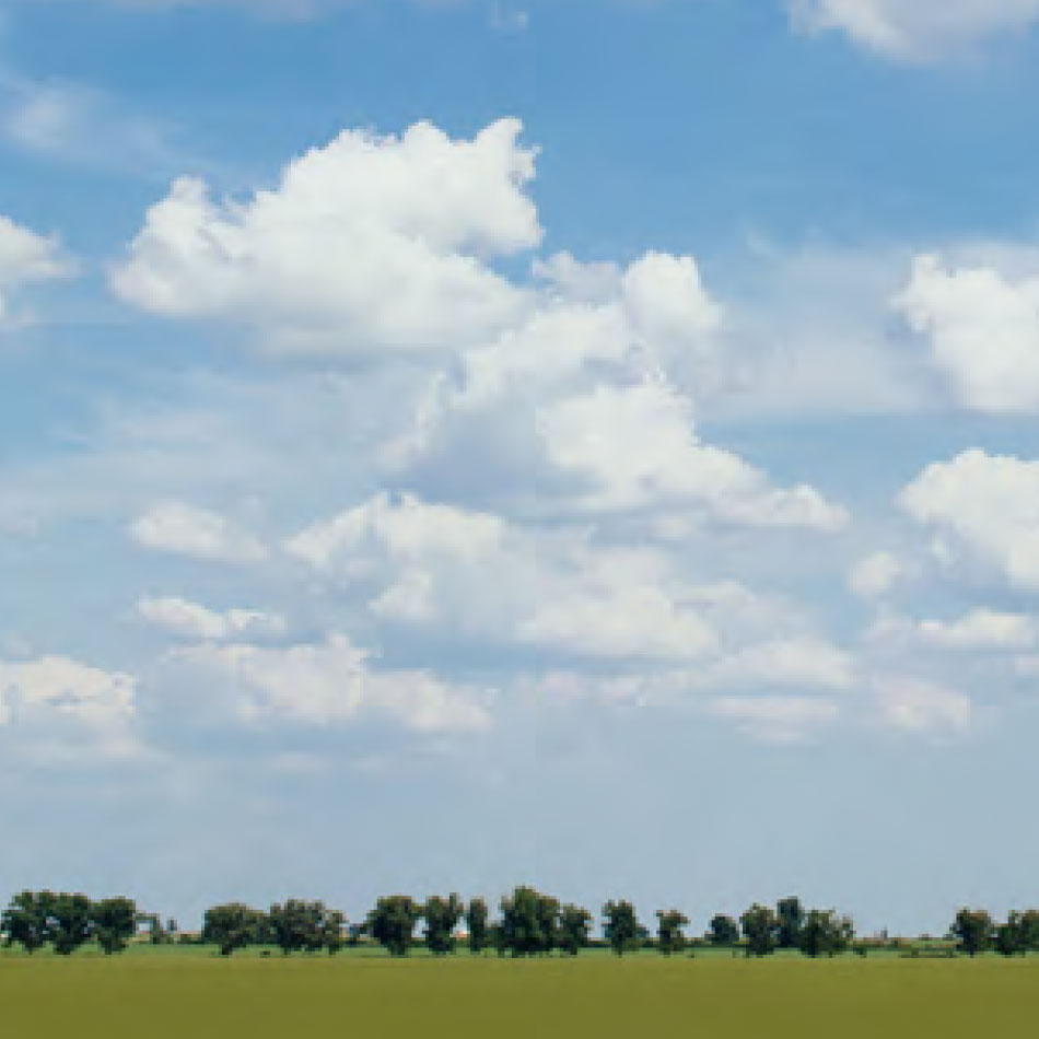 Trees and grass under a wide blue sky with clouds.