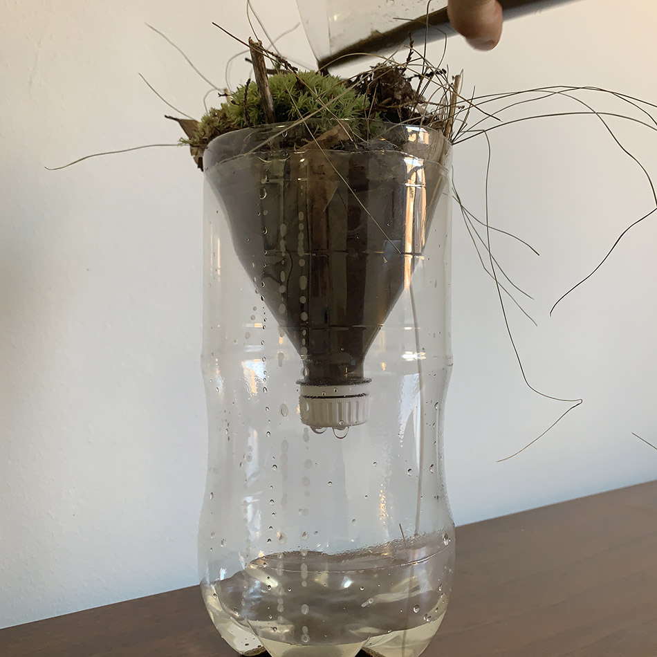 A completed wetland in a bottle.