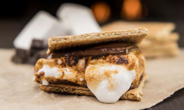 A S'more with graham crackers, chocolate and marshmallow.
