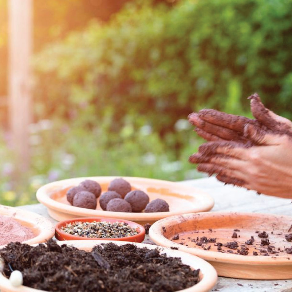 Five trays on a table outdoors contain different organic materials for making seed balls. A pair of hands rolling a seed ball above the trays.