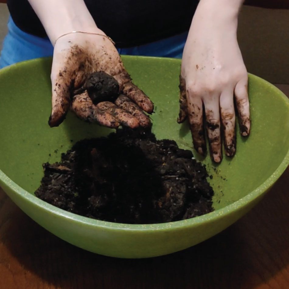 A pair of hands roll a seed ball inside a large bowl containing dirt.