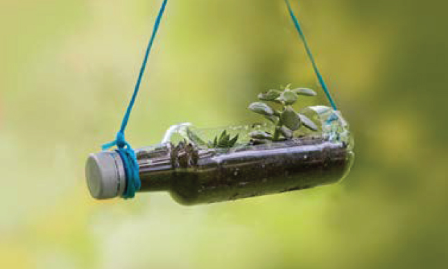 A hanging bottle garden.