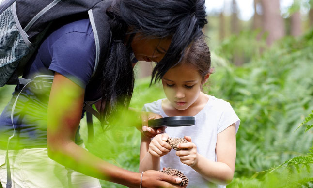 A woman and young girl examine pinecones under a magnifying glass.