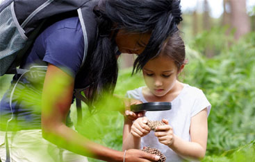A woman and child observe pinecones under a magnifying glass.