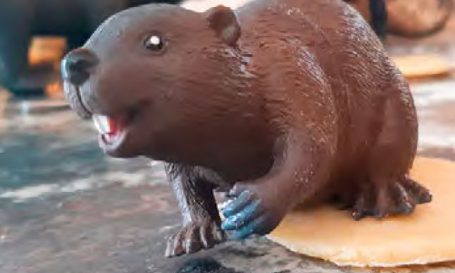 A toy beaver being used to make tracks in cookie dough.