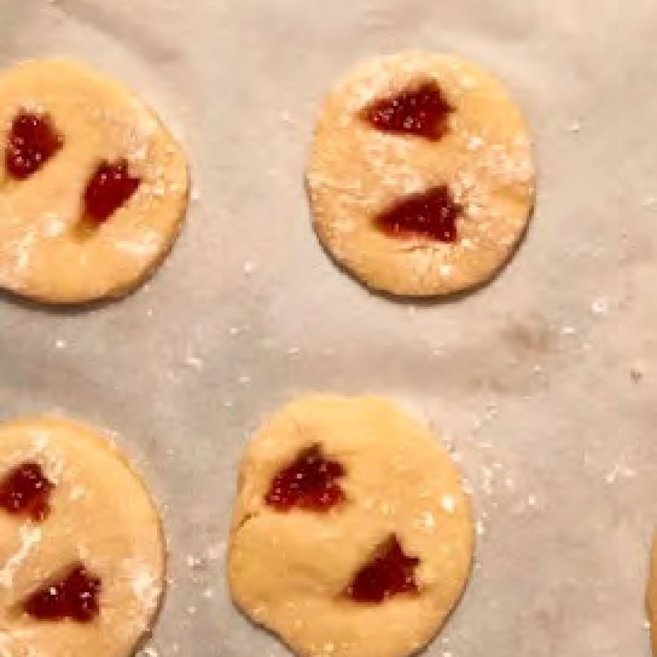 Cookies with animal tracks embedded in them.