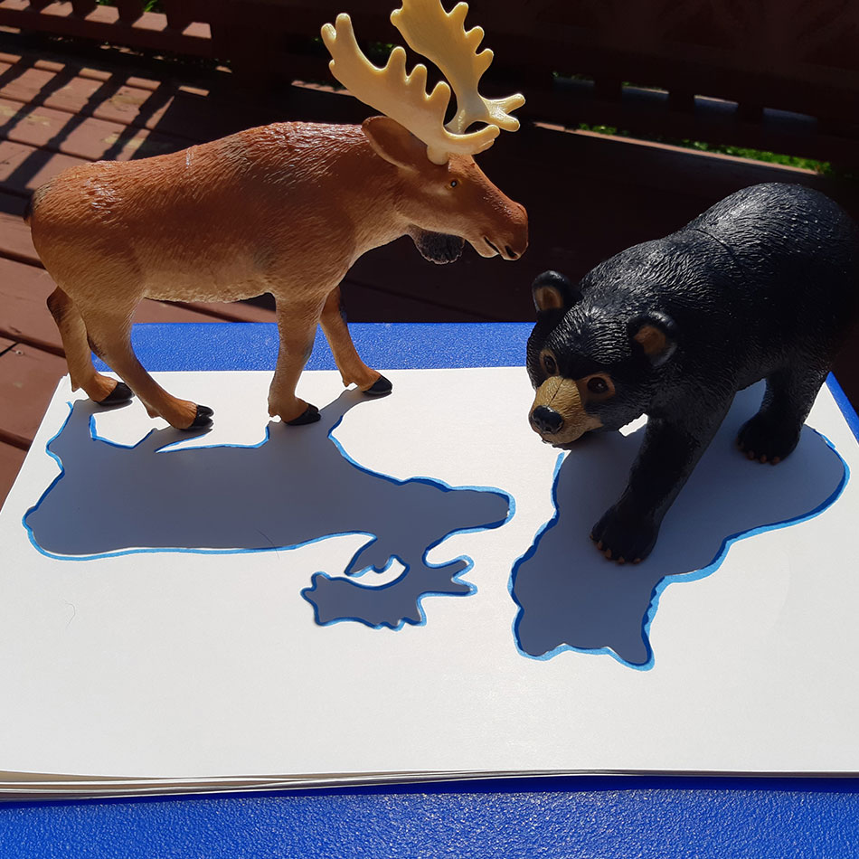Plastic toys casting shadows.