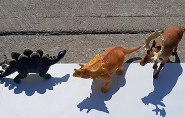 Plastic toys casting shadows.