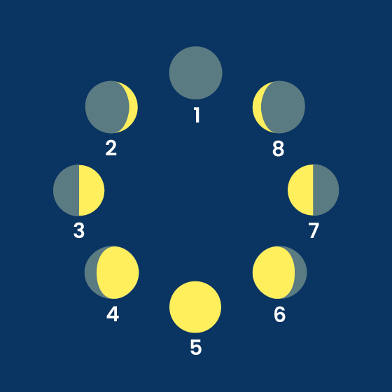 Diagram showing 8 different phases of the moon.