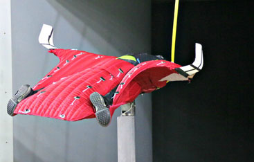 A person wearing a wingsuit floating in the air.