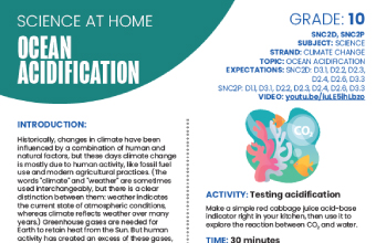 Image of the Ocean Acidification instructional PDF