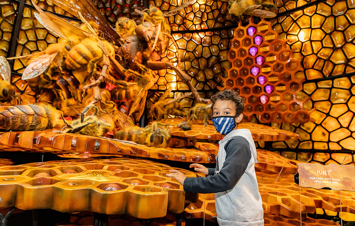 A child is amazed by a giant model of bees.
