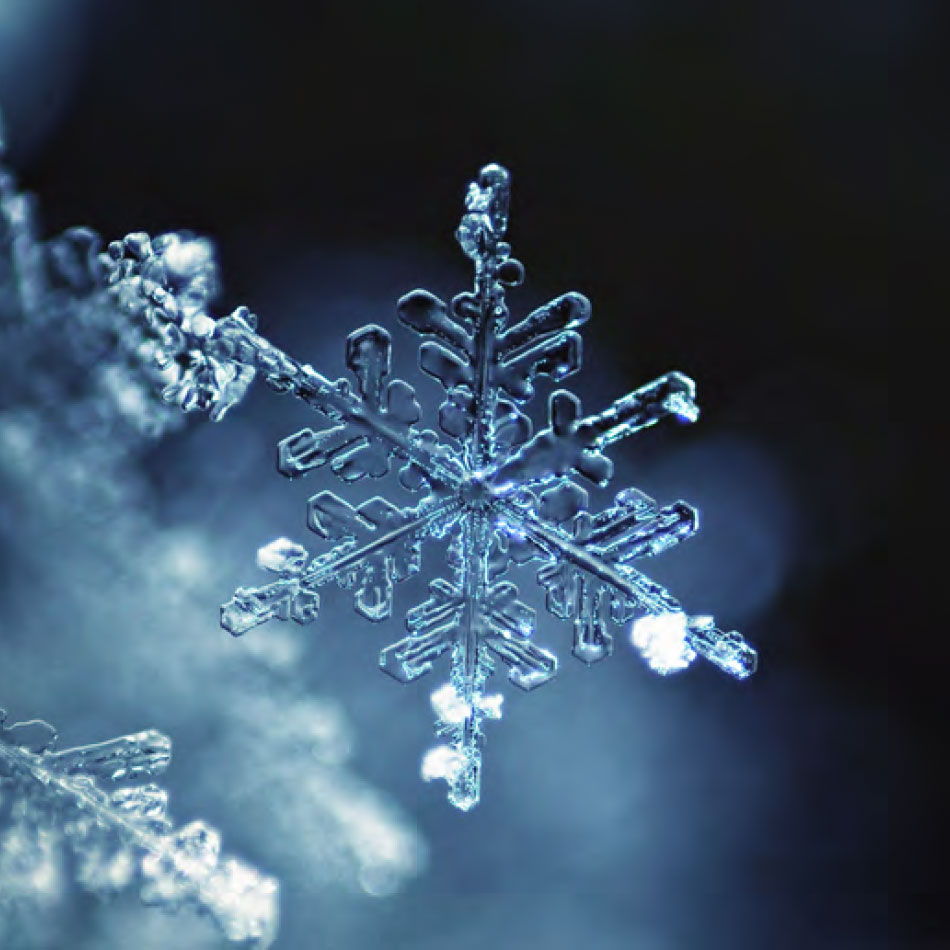 See How to Grow Snowflakes Inside a Soda Bottle