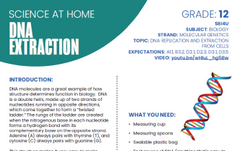 Image of the DNA Extraction instructional PDF