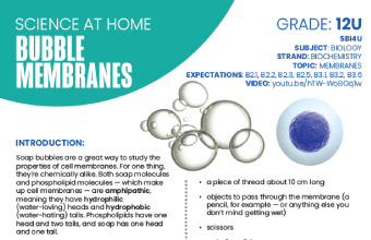 Image of the Bubble Membranes instructional PDF