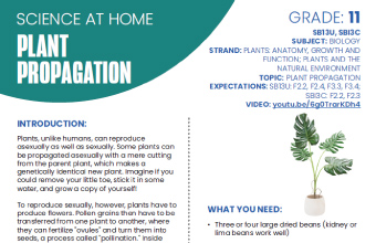 Image of the Plant Propagation instructional PDF