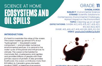 Image of the Ecosystems and Oils Spills instructional PDF