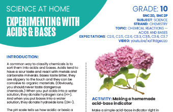 Image of the Experimenting with Acids and Bases instructional PDF