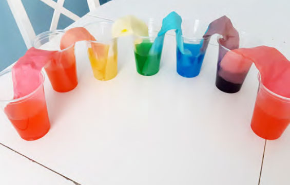 Different coloured water travels between cups through paper towels.