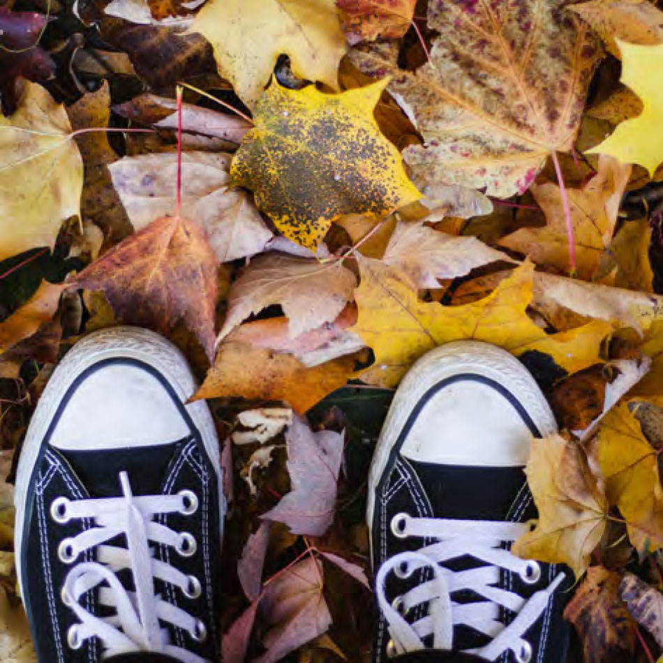 A pair of shoes in a pile of fall leaves.