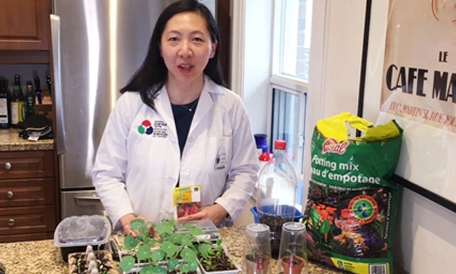 A Science Centre host in a kitchen with sprouted plants.