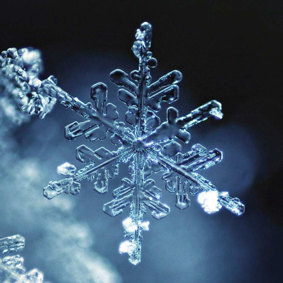 A close-up of a snowflake.