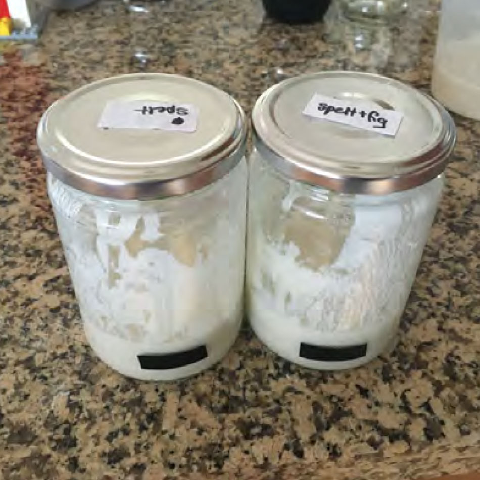Jars containing sourdough starter.