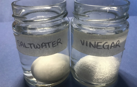 Two jars containing a transparent liquid and an egg; one is labelled "saltwater" and the other is labelled "vinegar."