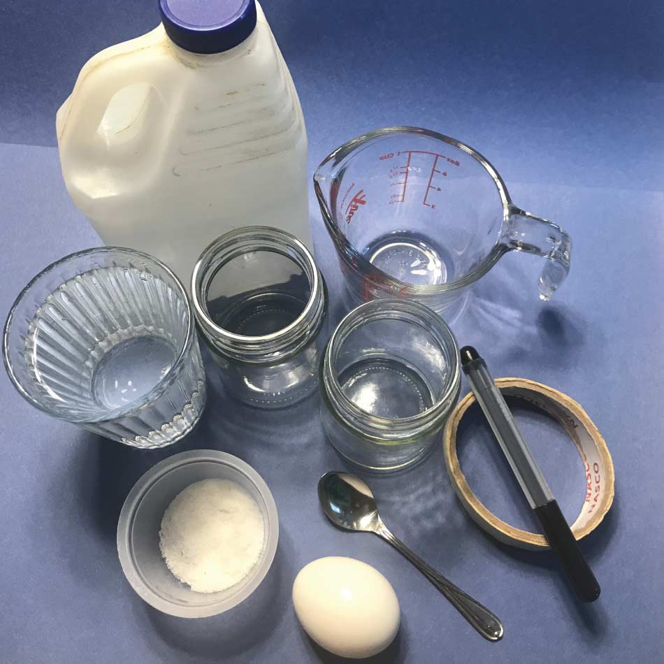 Materials required for the coral reef acidification experiment including vinegar, jars, salt, water and more.
