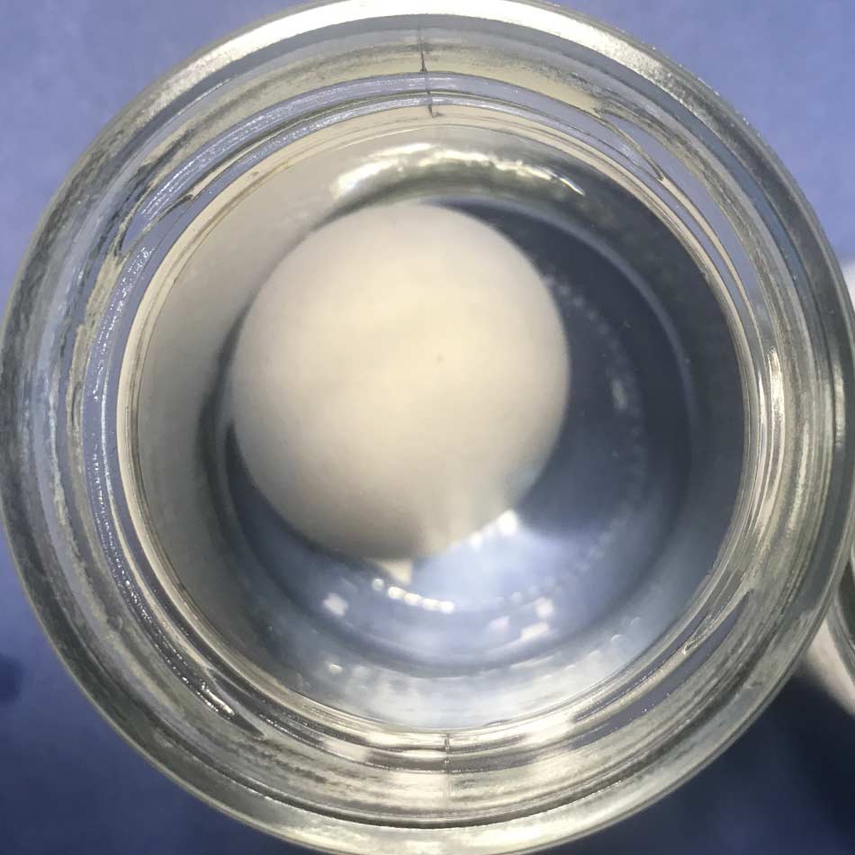 An overhead view of an egg in a jar with water.