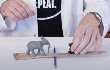 Close-up of hands moving a toy bear to the end of makeshift seesaw lever, made with a pencil and wooden utensil.