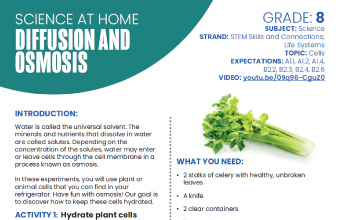 Image of the Diffusion and Osmosis instructional PDF