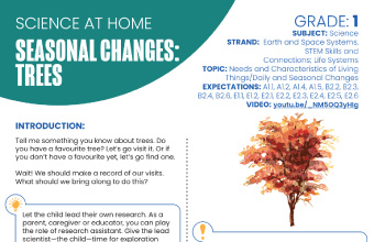 Image of the Seasonal Changes: Trees instructional PDF