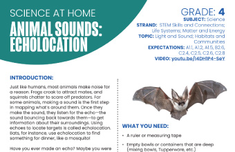 Image of the Animal Sounds: Echolocation instructional PDF
