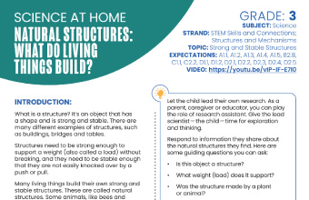 Image of the Natural Structures: What Do Living Things Build? instructional PDF