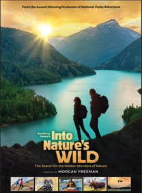 INW Poster